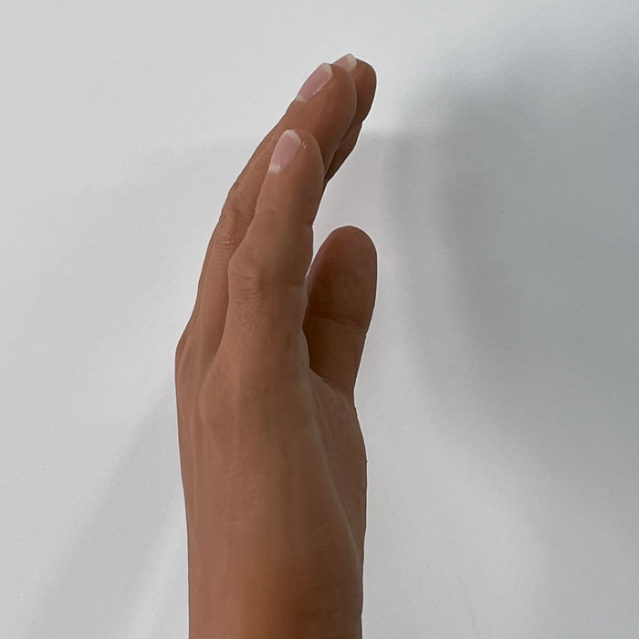 Customized Palm Prosthesis - Blackish